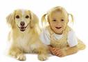 20070928172738-perro.jpg