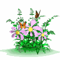 20071018211218-flores.gif