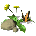 20080507151626-dandilion-butterfly-md-wht.gif
