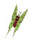 20080515191540-butterfly35.gif