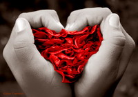 20080923220149-eu-queria-ser-amor-geisa.jpg